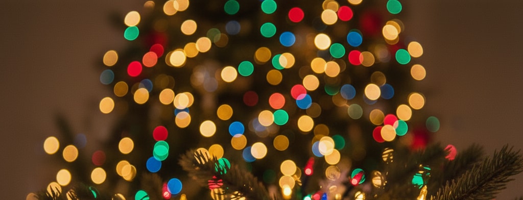 bokeh christmas lights Fort Myers