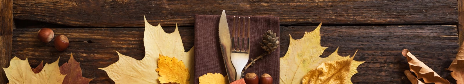 Thanksgiving Events Fort Myers